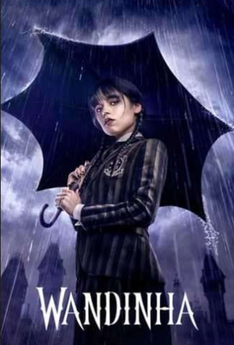 Captura de tela 2026-01-28 233007